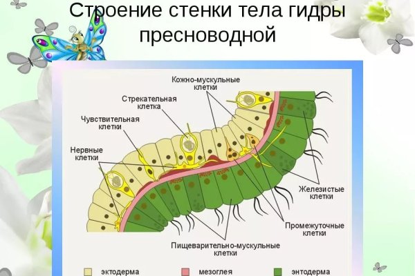 Что значит забанены на блэкспрут