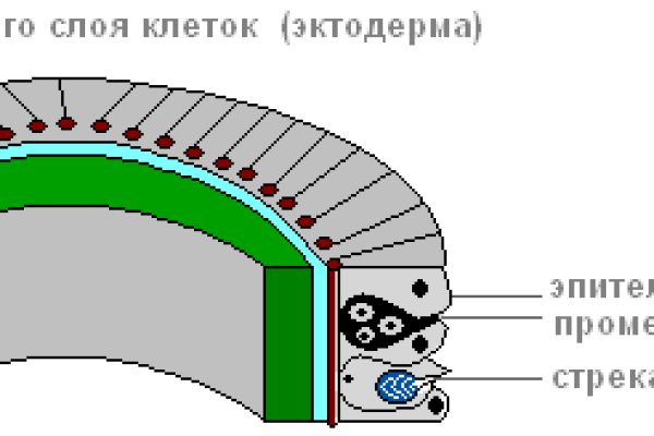 Mega сайт megaruzxpnew4af onion com